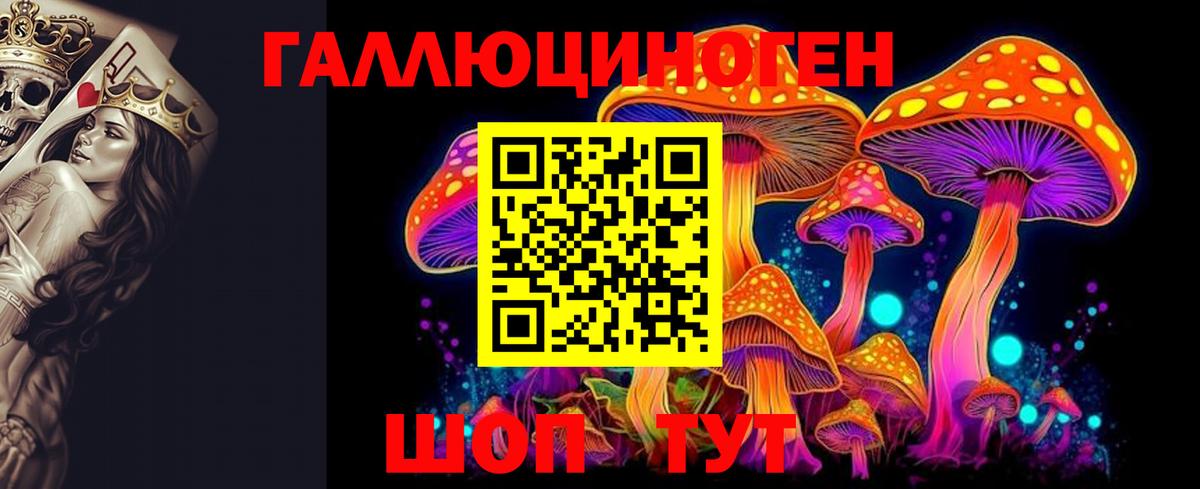 Галлюциногенные грибы GOLDEN TEACHER  Вход с VPN  Галлюциногенные грибы мицелий  Ачхой-Мартан 